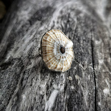 Load image into Gallery viewer, BOHO SHELL RING
