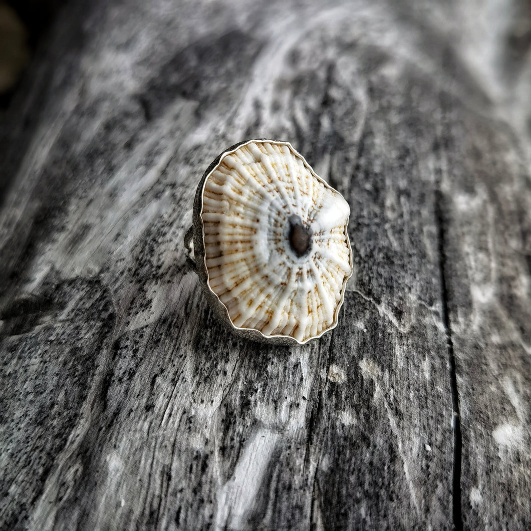 BOHO SHELL RING