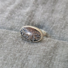 Load image into Gallery viewer, SNAKESKIN AGATE RING
