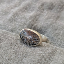 Load image into Gallery viewer, SNAKESKIN AGATE RING
