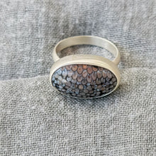 Load image into Gallery viewer, SNAKESKIN AGATE RING
