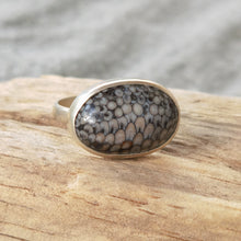 Load image into Gallery viewer, SNAKESKIN AGATE RING
